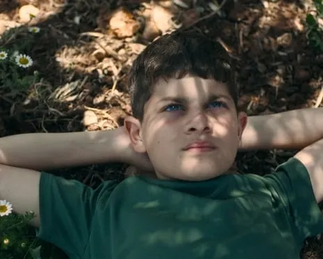 Israeli Culture Minister Vows to Cut Ophir Awards Funding Following Palestinian-Themed Film Takes Best Feature