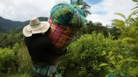 America Classifies the South American Nation as Failing to Cooperate in Narcotics Battle