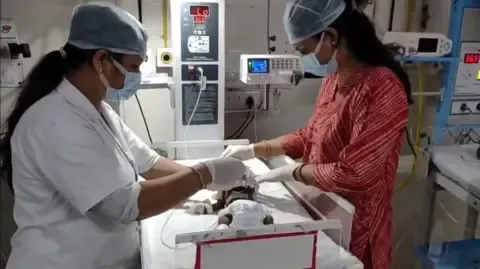 Baby Placed Alive in the Country Battles for Survival