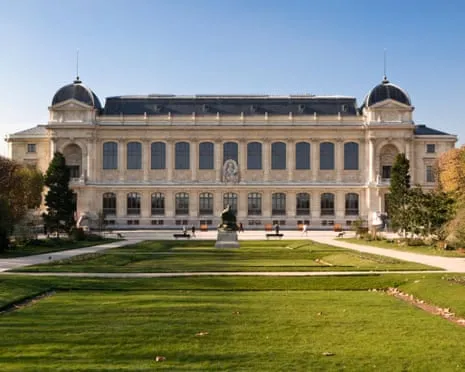 Invaluable Golden Specimens Stolen in Daring Heist at France's National Institution