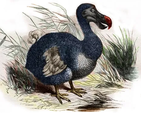 Experts State They Have Achieved a ‘Key Milestone’ in Reviving the Extinct Bird for the Initial Instance in Multiple Generations