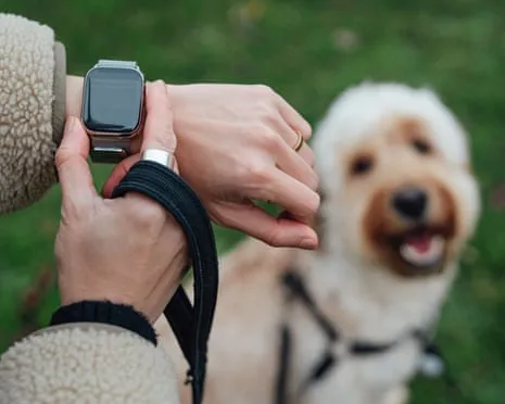 The Reality Regarding Wearable Tech? Living Is Better Without a Hectoring Zealot on Your Wristwear